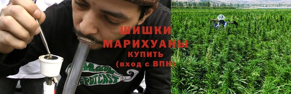 PSILOCYBIN Верхний Тагил